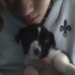 Cody